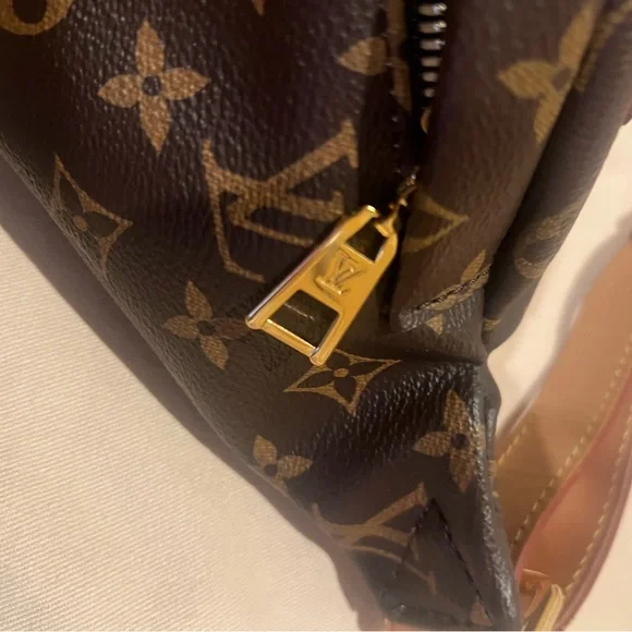 Louis Vuitton Bumbag authentic used great condition - Picture 15 of 16